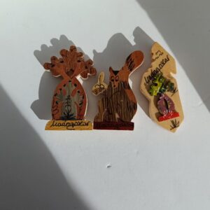 Imanes de madera forma Madagascar