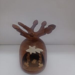 Portal de Belén dentro de un baobab pequeño